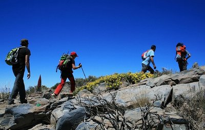 打造工旅融合产业新城建设新标杆,青城山旅游装备产业功能区为高质量发展赋能
